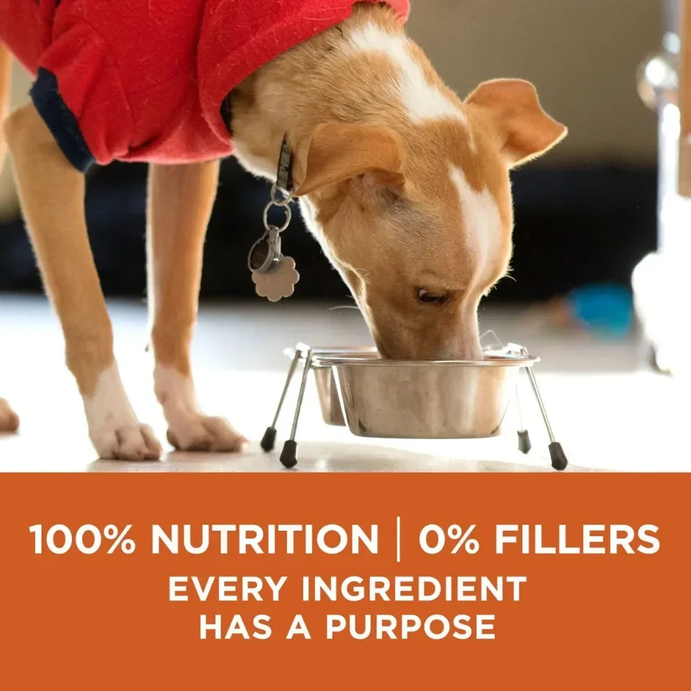 Healthy Weight Dry Dog Food Formula Pet Supplies Snacks for Dogs Home Garden No High-Concerned Chemicals Free Shipping